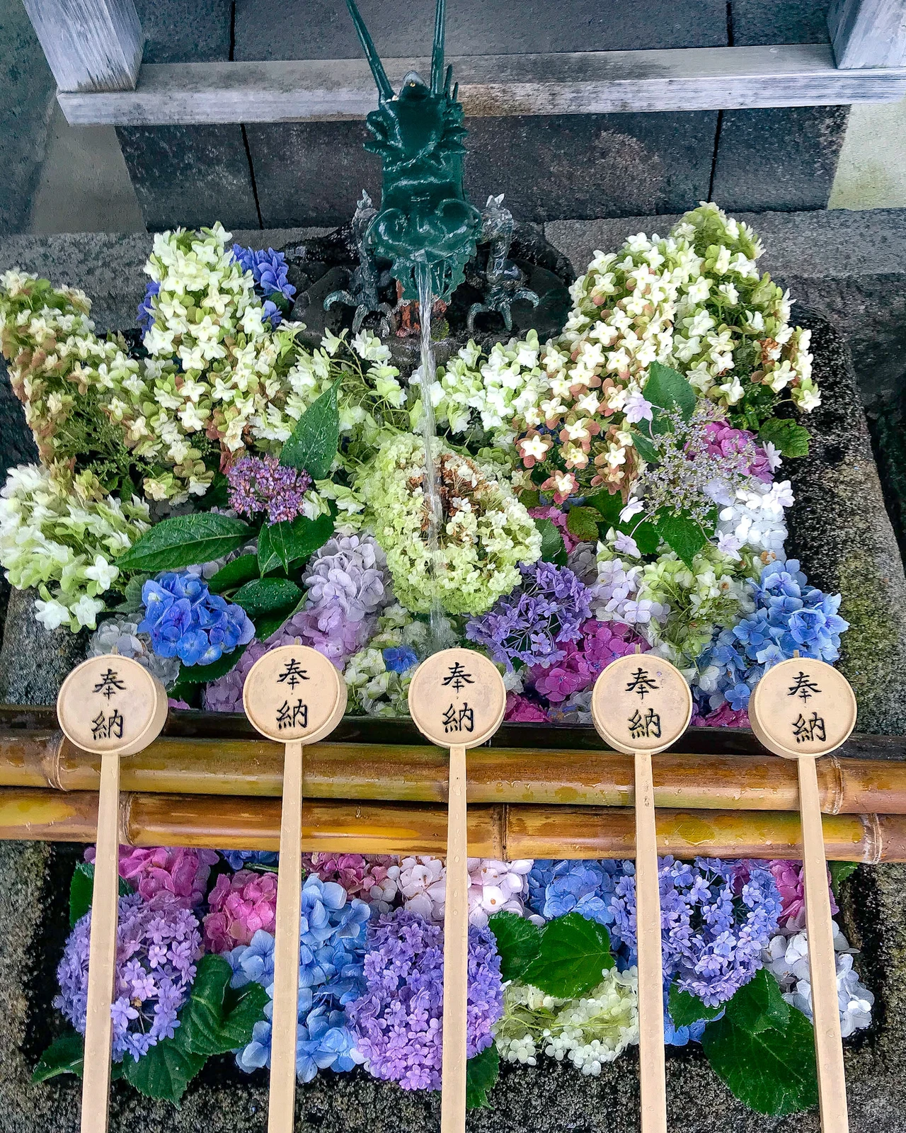 京都府 紫陽花の名所 藤森神社の花手水 Jptravelerspicが投稿したフォトブック Lemon8
