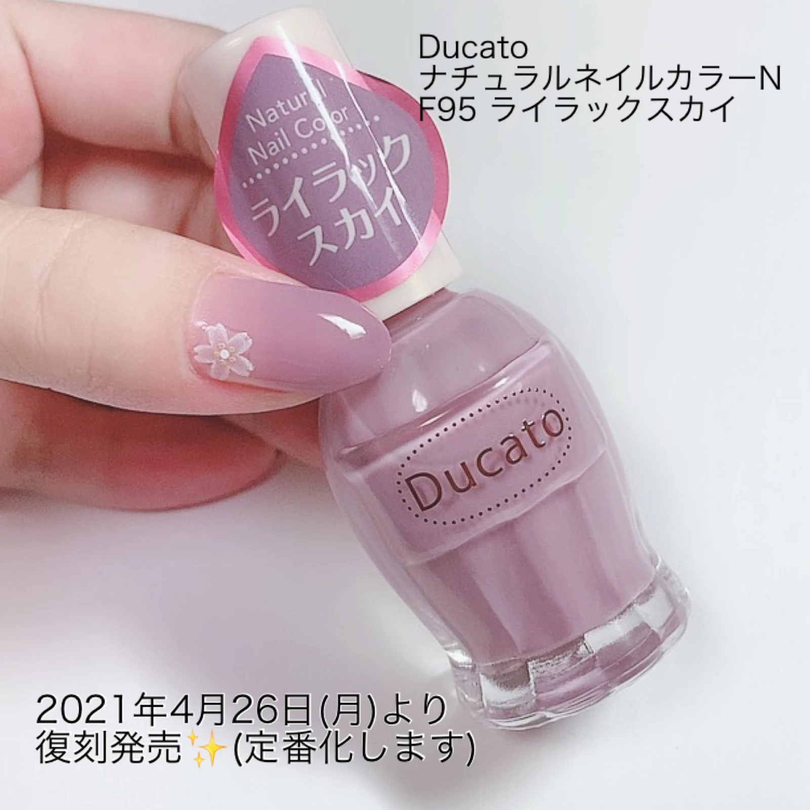 Ducatoの復刻カラー Yukiko15が投稿したフォトブック Lemon8