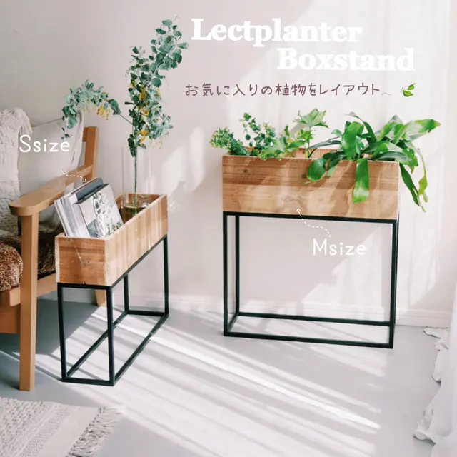 100均 プランタースタンド Diy Lemon8