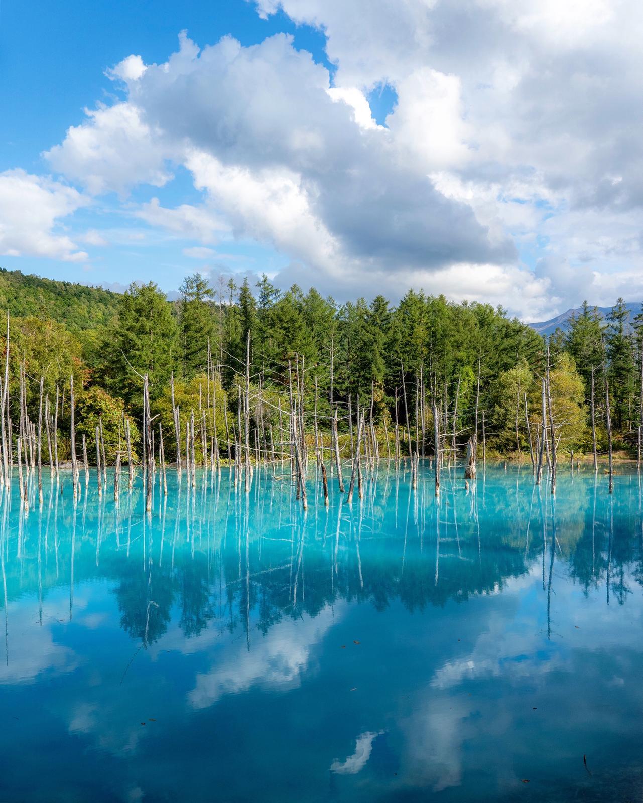 奇跡の青い池 北海道 Umestagramが投稿したフォトブック Sharee