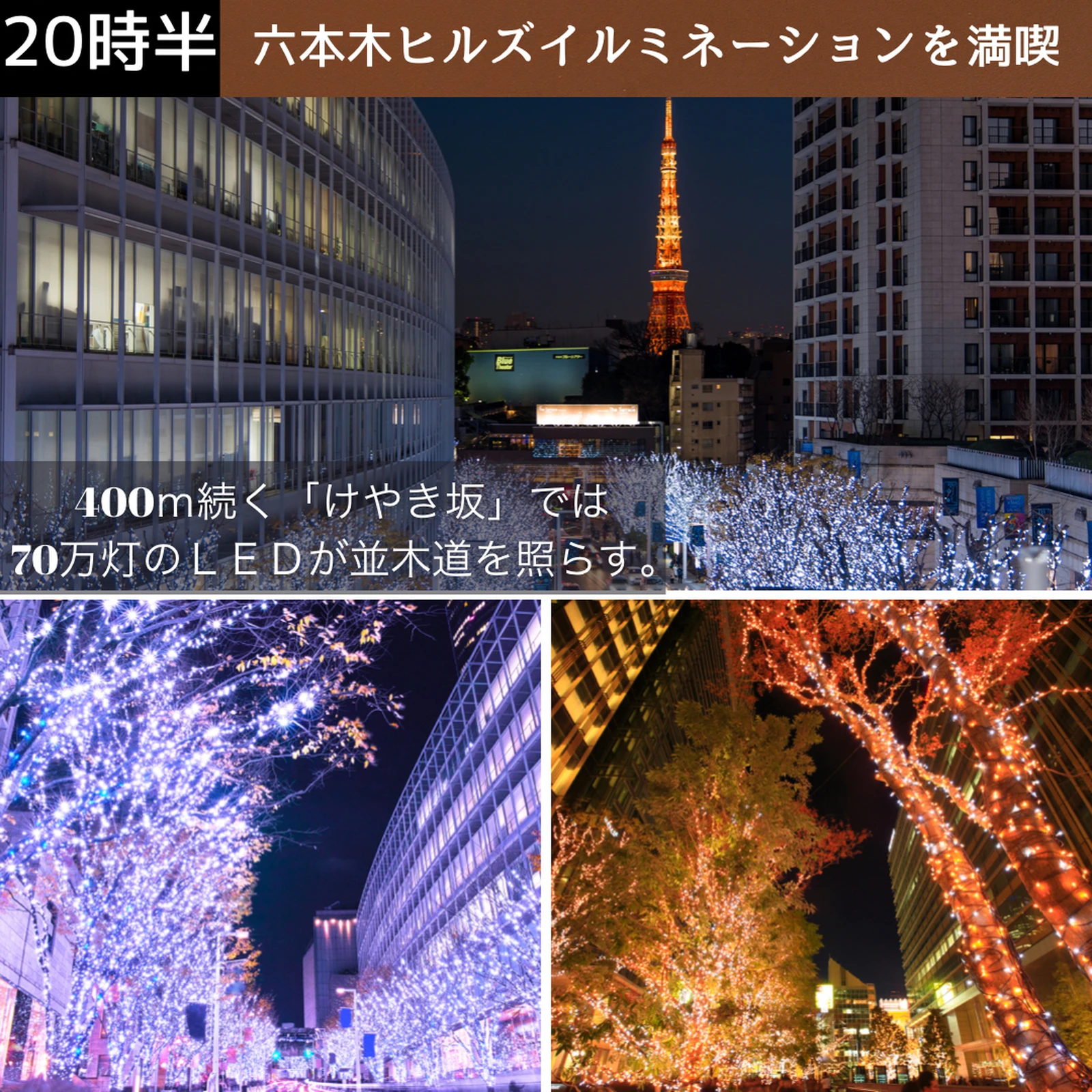 六本木クリスマスデートプラン そら 東京デートプランが投稿したフォトブック Lemon8