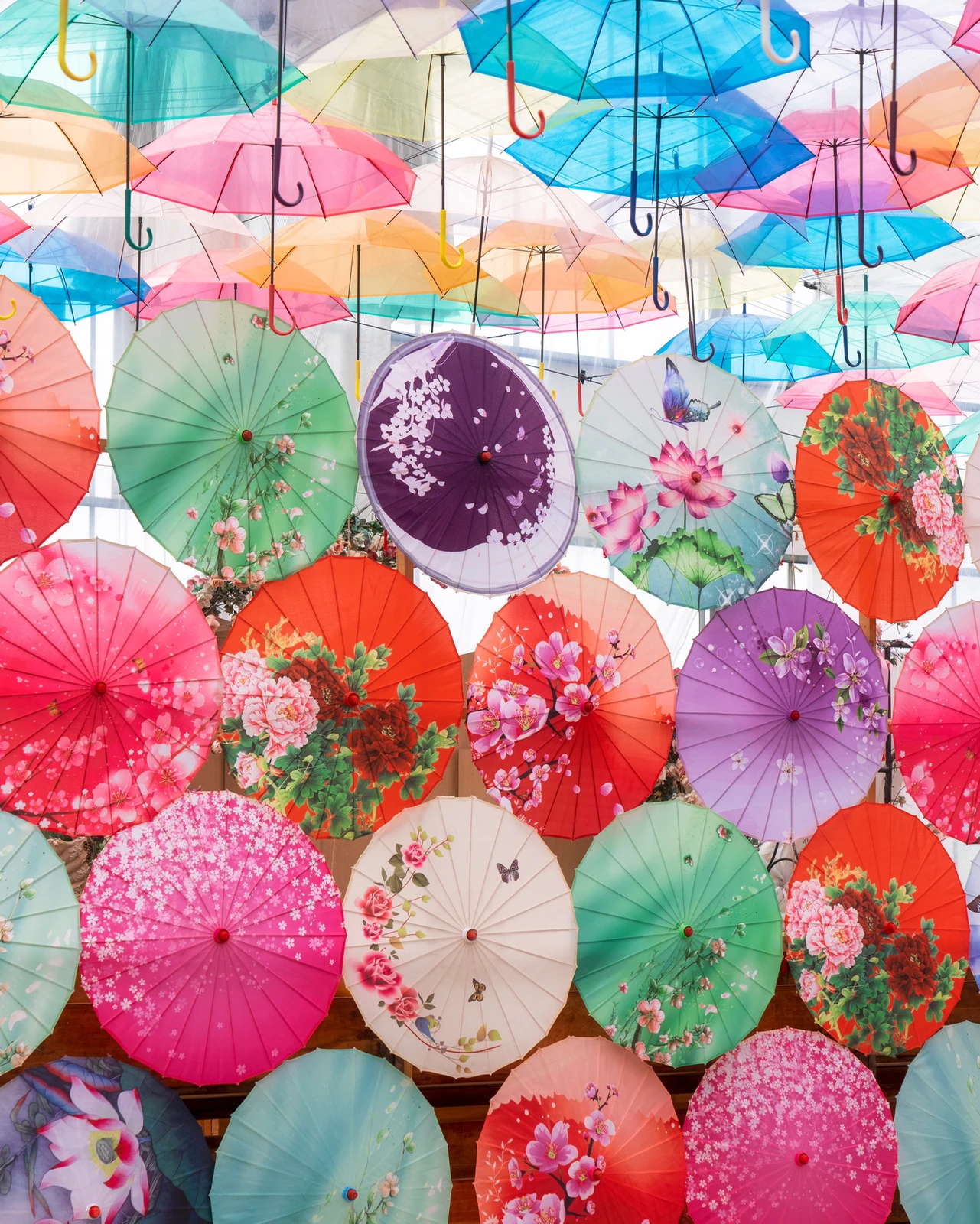 福島県 日本一の写真映えスポット 福島で見るカラフルな世界 Kyoko1903が投稿したフォトブック Lemon8