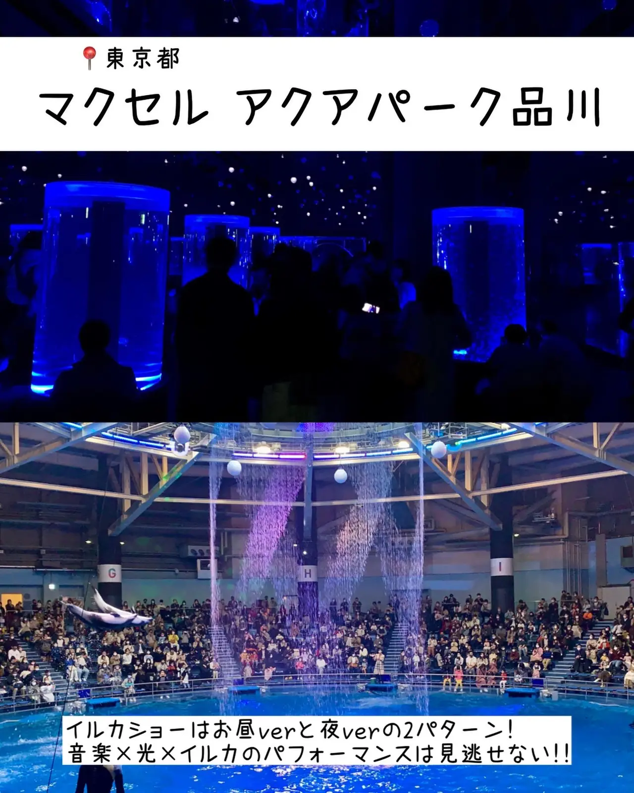 デートで行きたい 幻想的な水族館6選 もえ 旅するol Ig5万人が投稿したフォトブック Lemon8