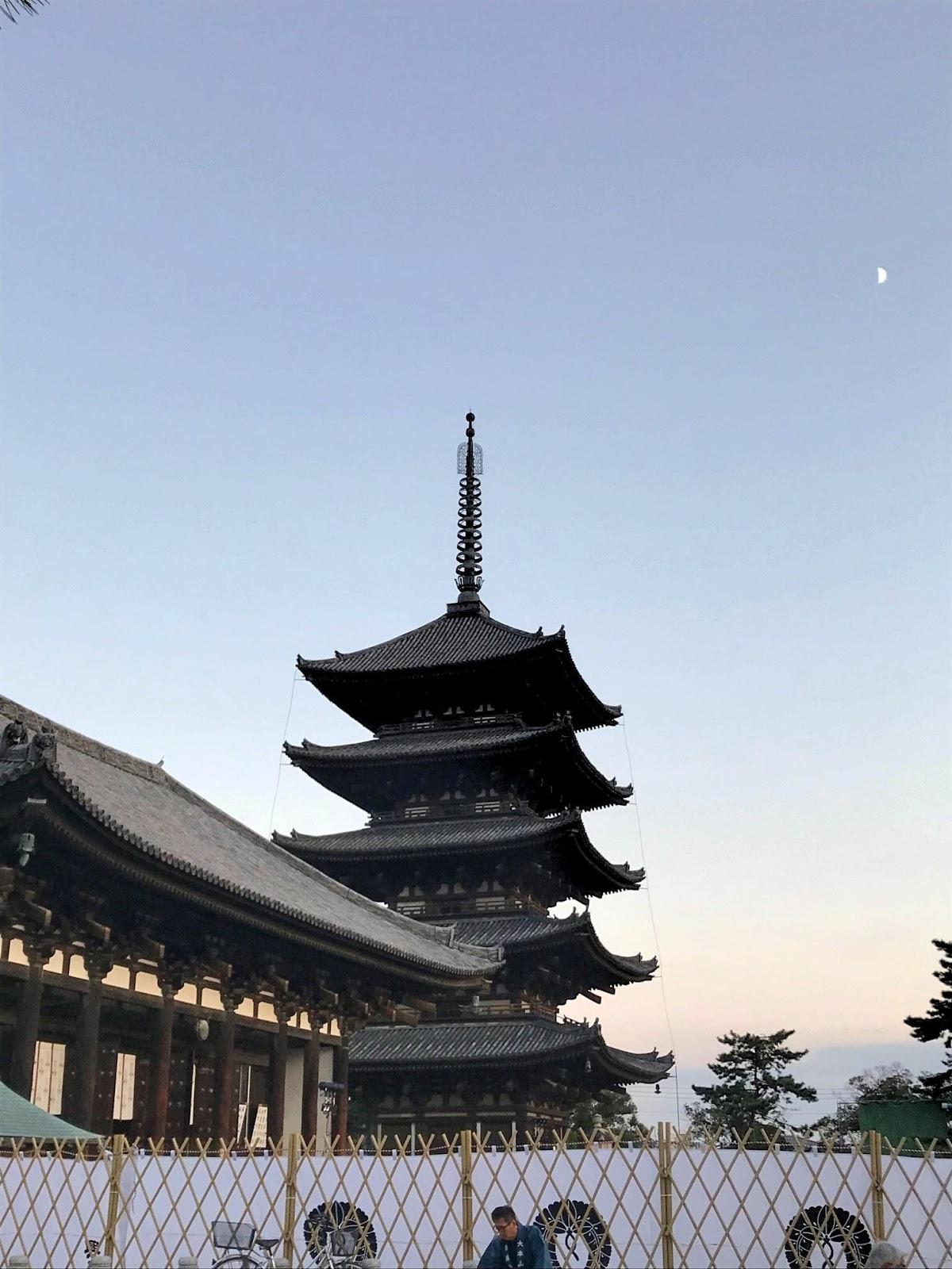 奈良 京都からの子連れ1日観光 大橋ふみが投稿した記事 Sharee