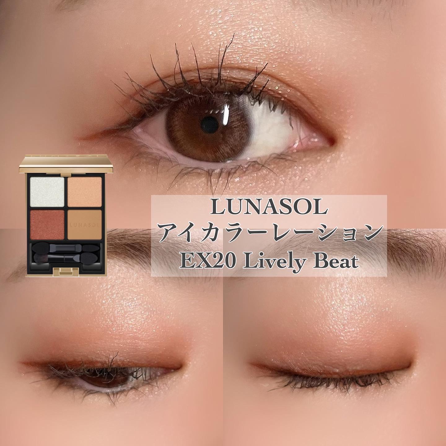 42 割引ブラウン系スペシャルオファ ルナソルアイカラーレーションex19セレニティブレス Exライブリービート アイシャドウ コスメ 香水 美容ブラウン系 Dot Dirittopubblico Uniroma2 It