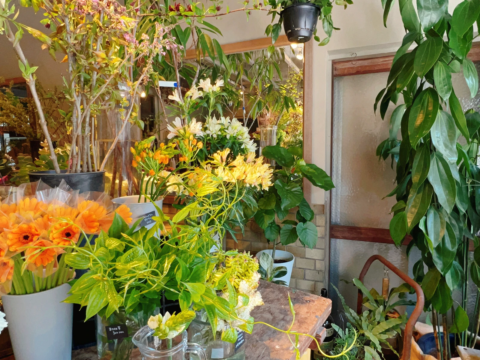 敦賀にあるおしゃれで可愛いお花屋さん 旅キャンが投稿したフォトブック Lemon8