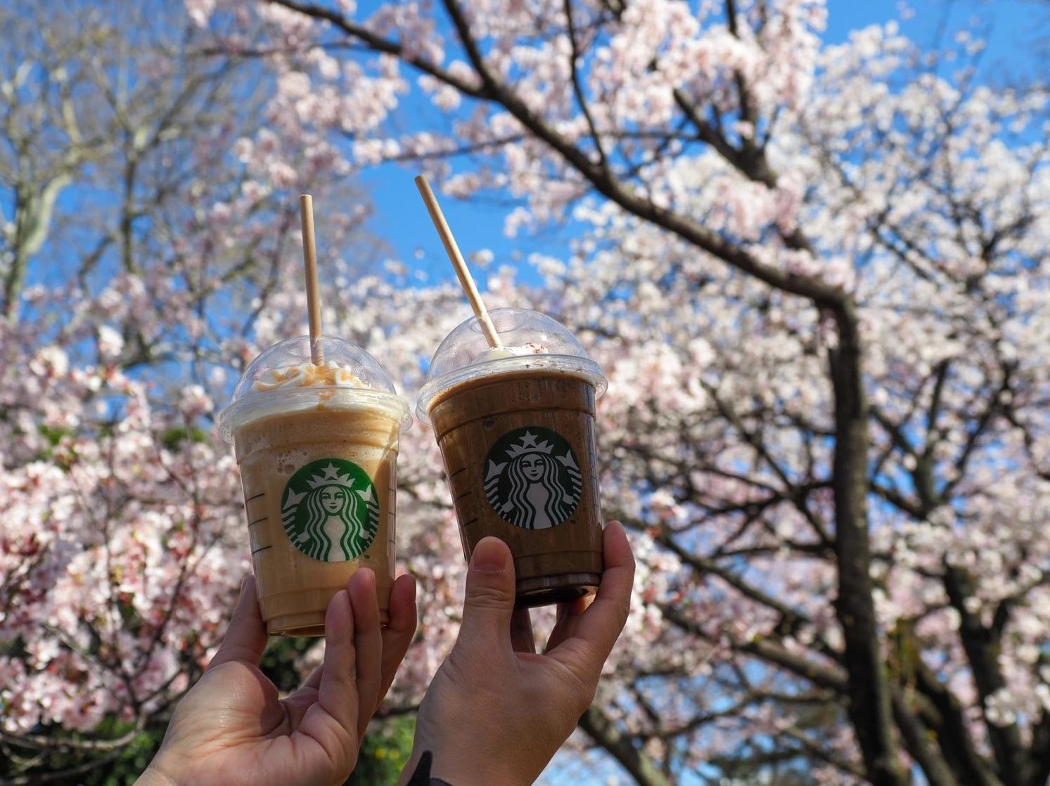 スターバックスが新宿御苑内に開店 広い芝生でフラペチーノを飲むのは幸せ 人生は旅が投稿した記事 Lemon8