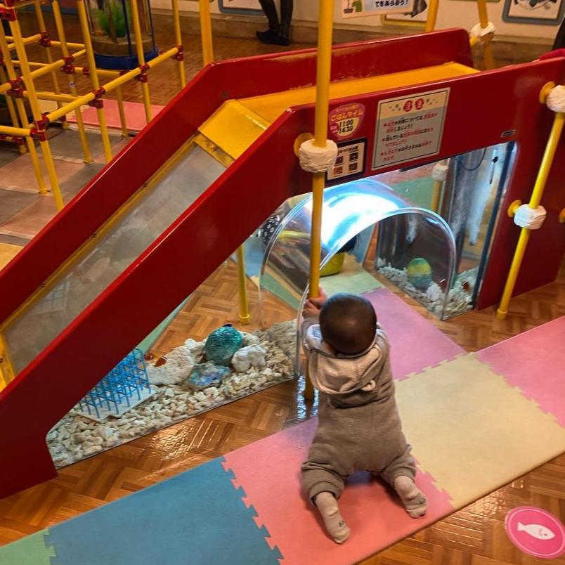 赤ちゃんがハイハイしながら楽しめる水族館 おもしろ水族館 赤ちゃん水族館 Riochi Odekakeが投稿したフォトブック Sharee