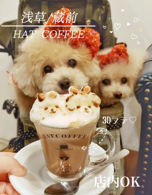 3dラテアートに関する最新投稿と人気の投稿 Lemon8