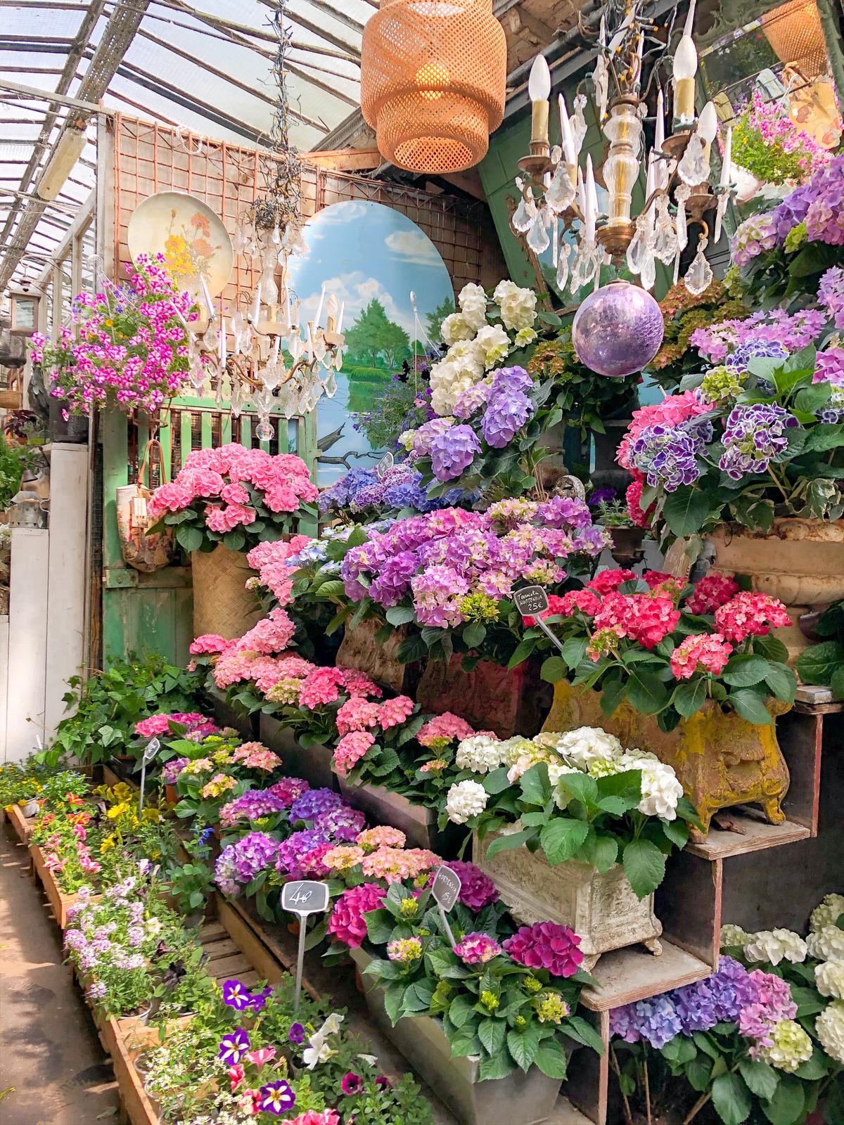 パリ散歩 かわいいお花屋さんが並ぶ小道 Saya Tripが投稿したフォトブック Sharee