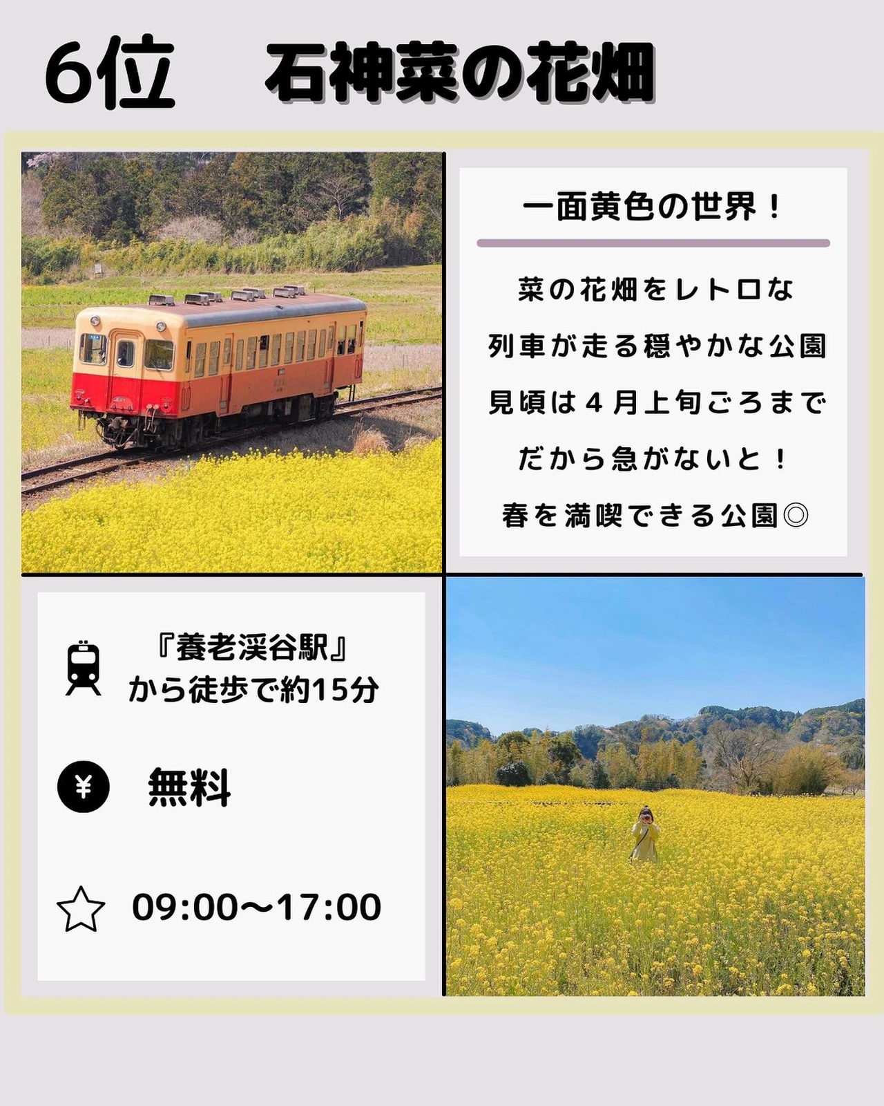 知らなきゃ損 春デートスポットランキング ひろ 東京デートまとめが投稿したフォトブック Lemon8
