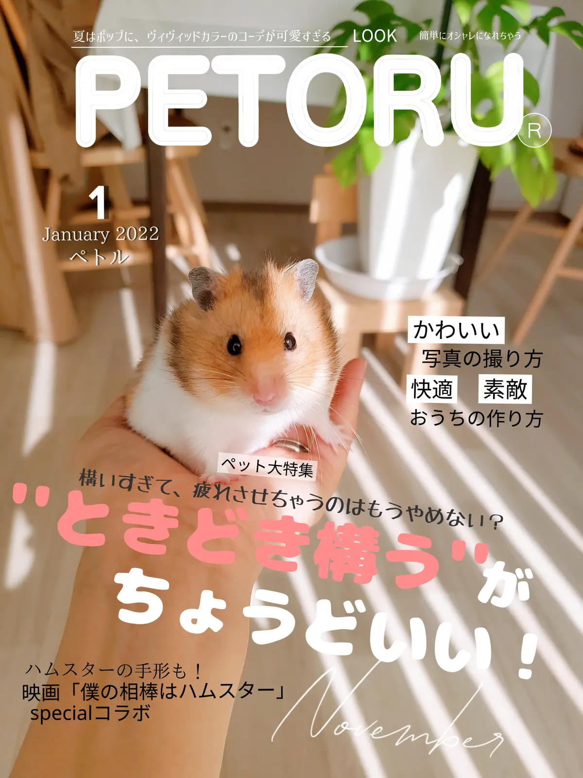 雑誌 Petoru ぺとるが投稿したフォトブック Lemon8