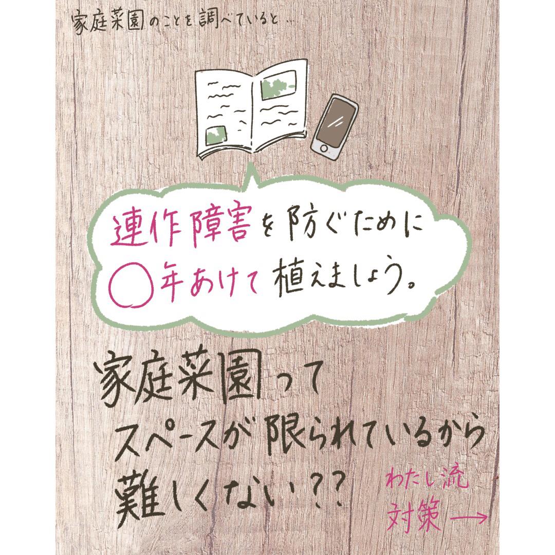 家庭菜園 どうする 連作障害 みゆき ガーデニングと家庭菜園が投稿した記事 Lemon8