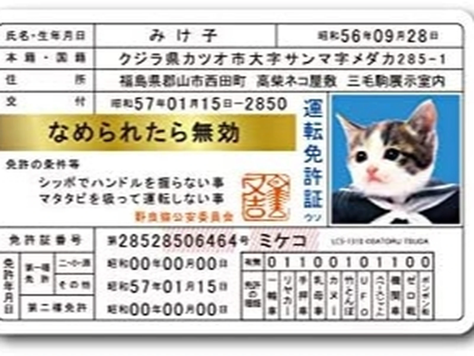 ビーバップや今日俺の前に可愛い不良猫が居たの覚えてる なつみん Triber0606が投稿したフォトブック Lemon8