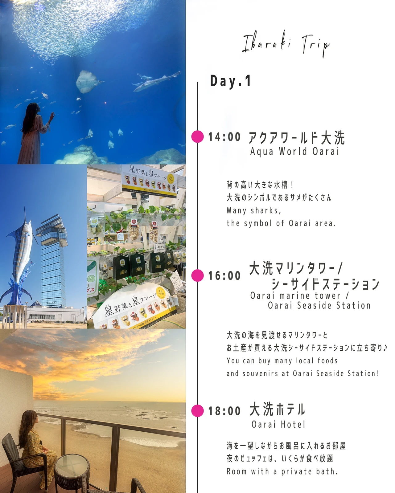 【茨城県】おすすめ旅行コースの画像 (3枚目)