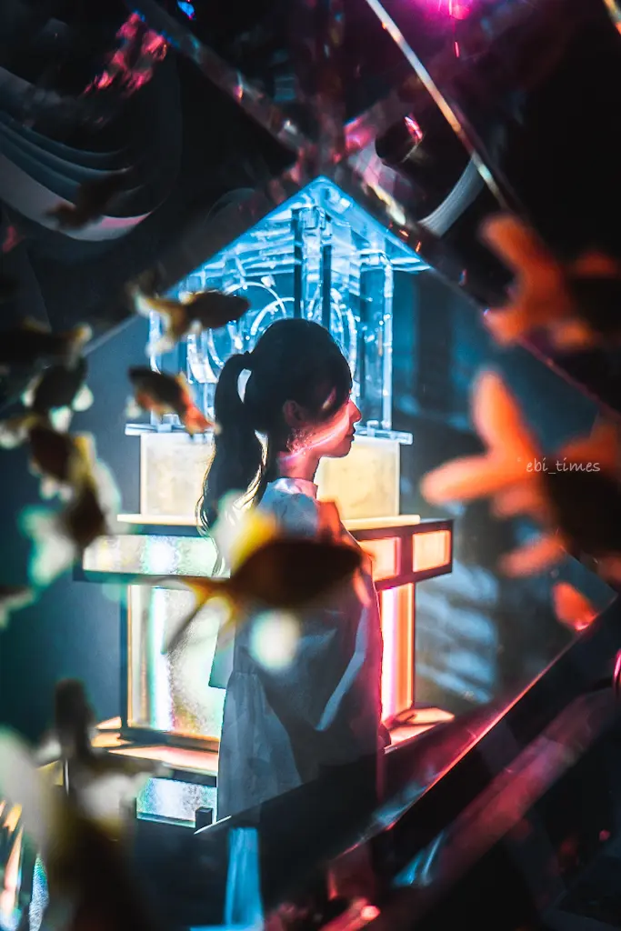 東京 アートアクアリウム Ebi Timesが投稿したフォトブック Lemon8