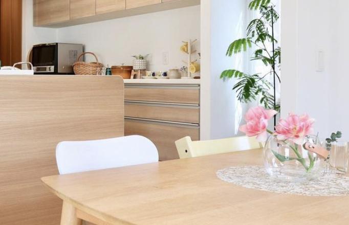 ジューンベリーの徒長枝剪定 Ryuryu Homeが投稿したフォトブック Lemon8