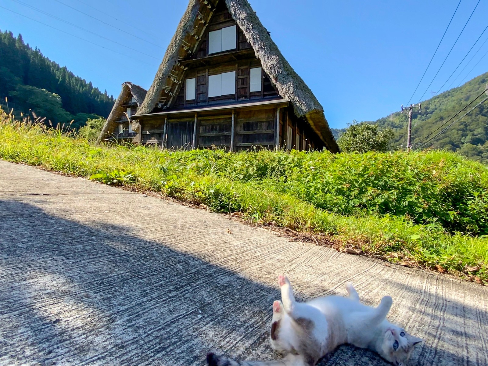 Lemon8 Story 白川郷