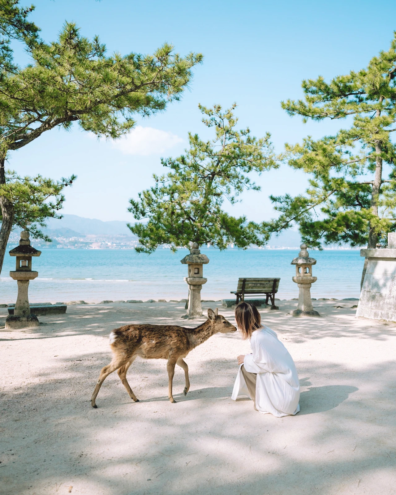 広島 神の島 宮島で鹿と出会う旅 Ayanceが投稿したフォトブック Lemon8