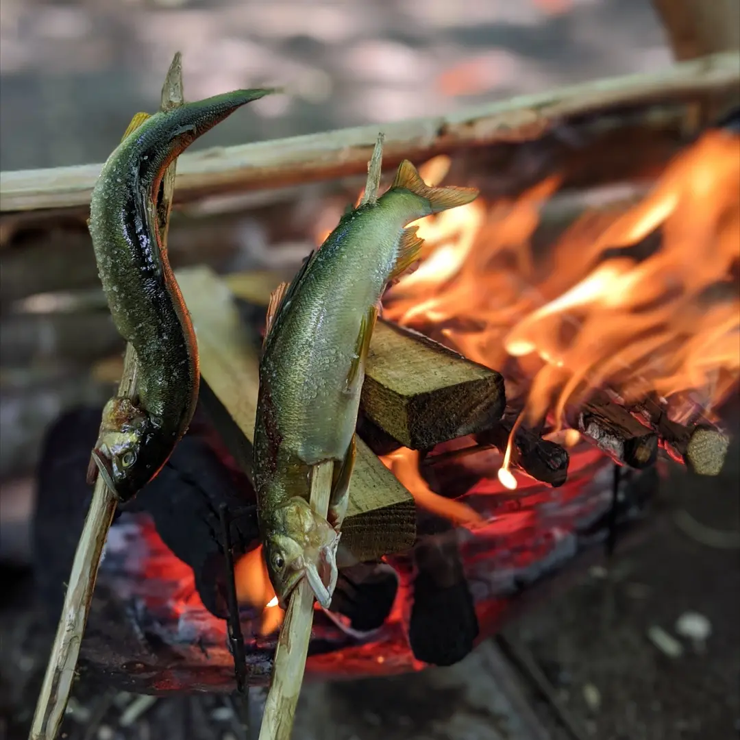 炭火や焚き火で楽しむキャンプ飯🍻の画像