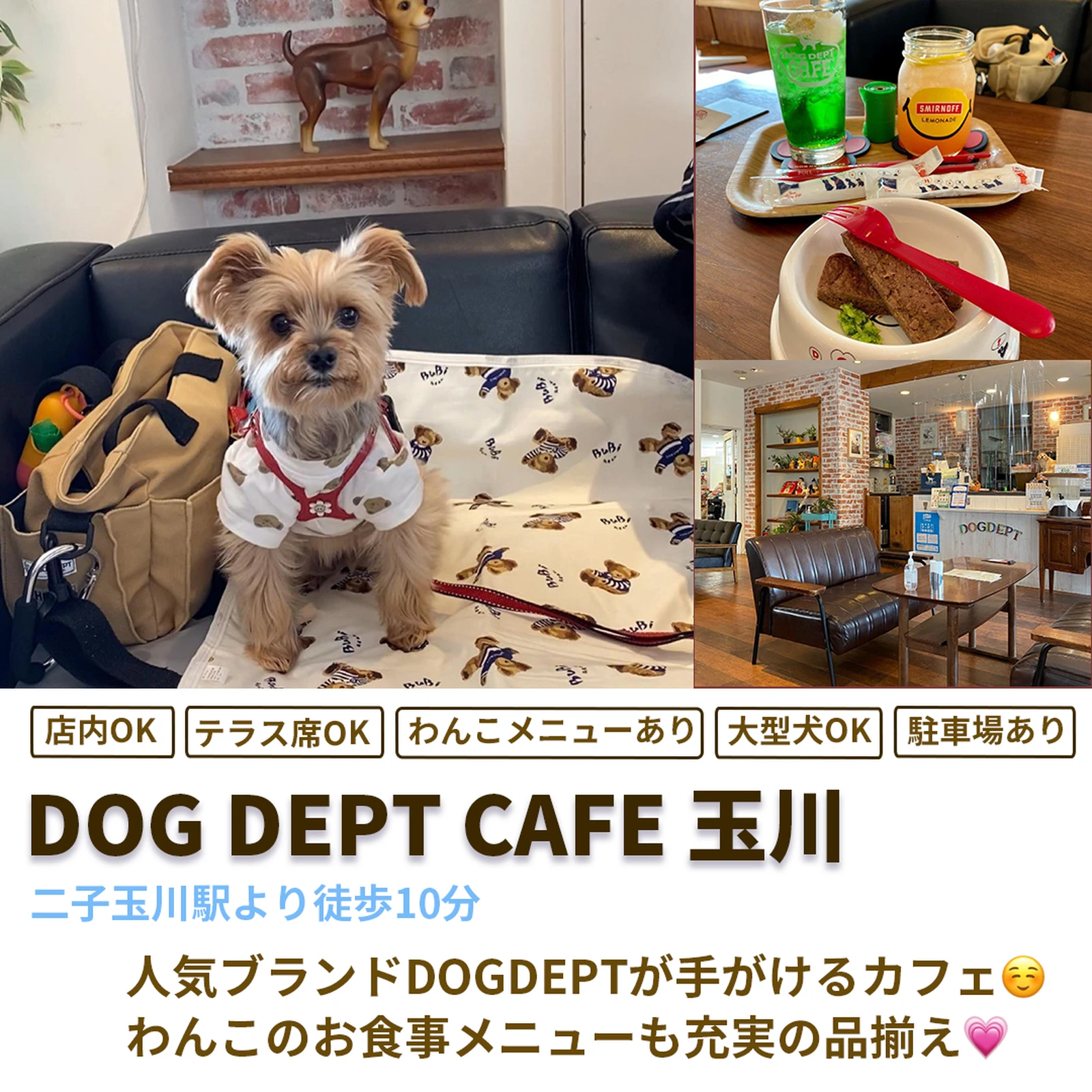 わんこと行けるグルメスポットまとめ 二子玉川 Petcy Officialが投稿したフォトブック Lemon8