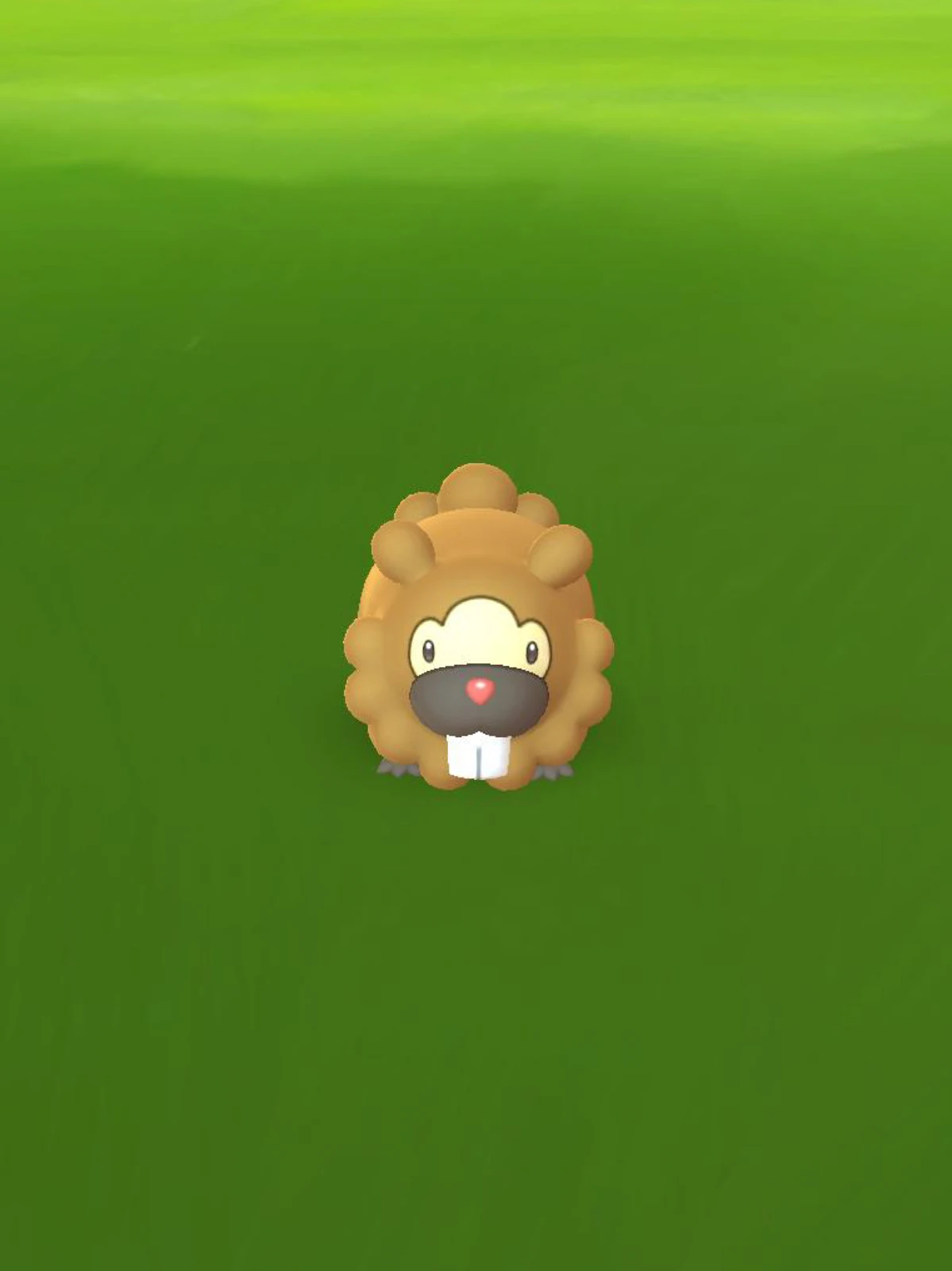 コメント ビッパはかわいい ポケモンgo Userが投稿したフォトブック Lemon8