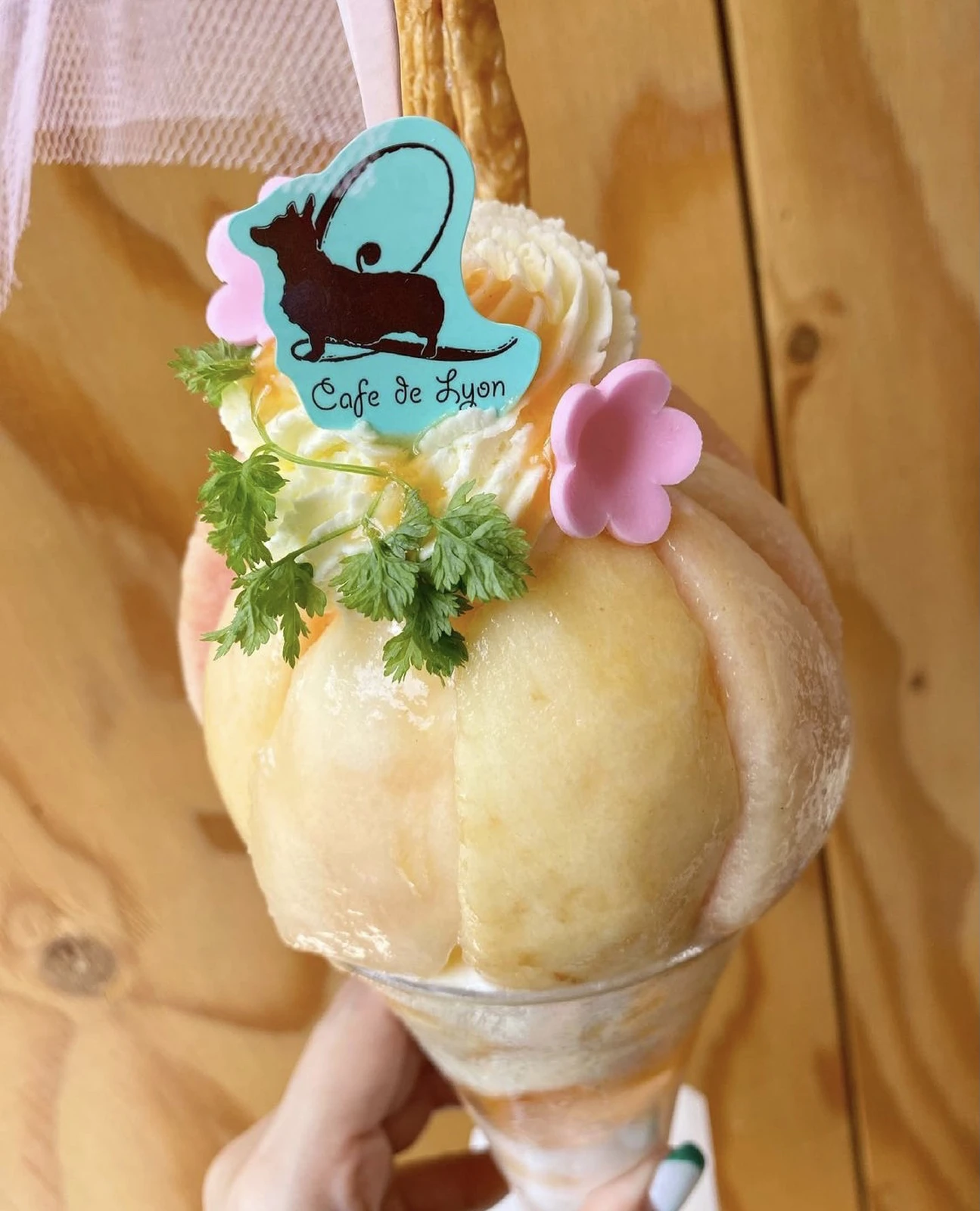 名古屋市 北区 名古屋パフェと言えばここ カフェドリオンさんの桃パフェ Chii5951が投稿したフォトブック Lemon8