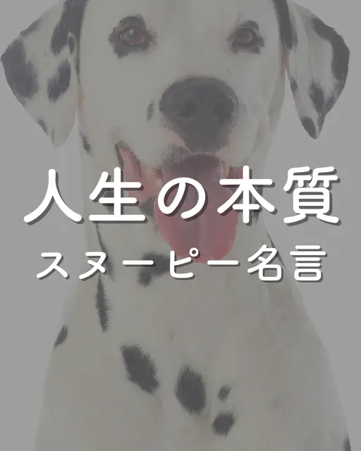 スヌーピー 名言 画像 Lemon8 スヌーピー 名言 画像 Lemon8