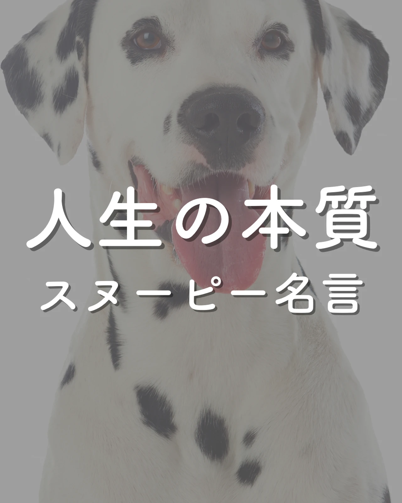 人生の本質 スヌーピー名言 Manamiが投稿したフォトブック Lemon8