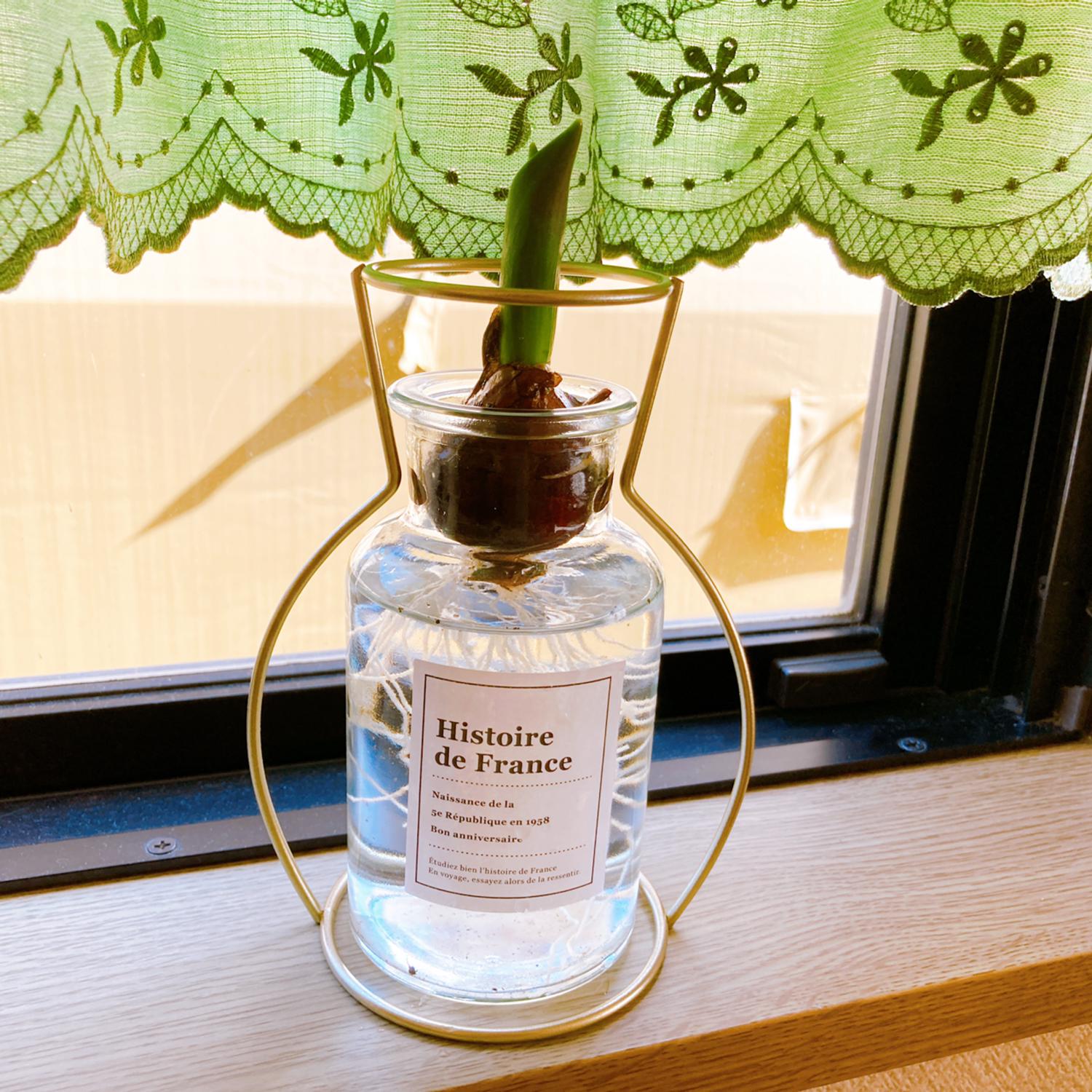 Daiso オシャレ可愛い瓶の使い道はコレ メグ6007が投稿したフォトブック Lemon8