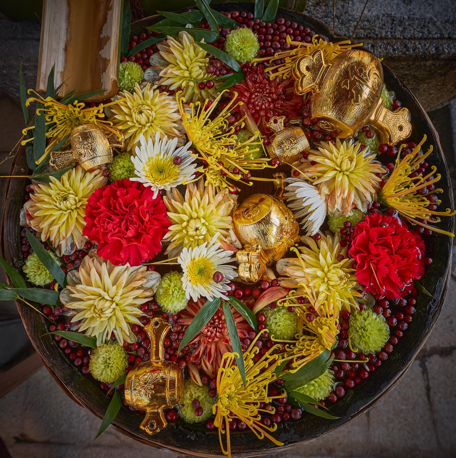 近所のお花屋さんが毎週奉納する素敵な花手水 高槻市 野見神社 Genかなが投稿したフォトブック Lemon8