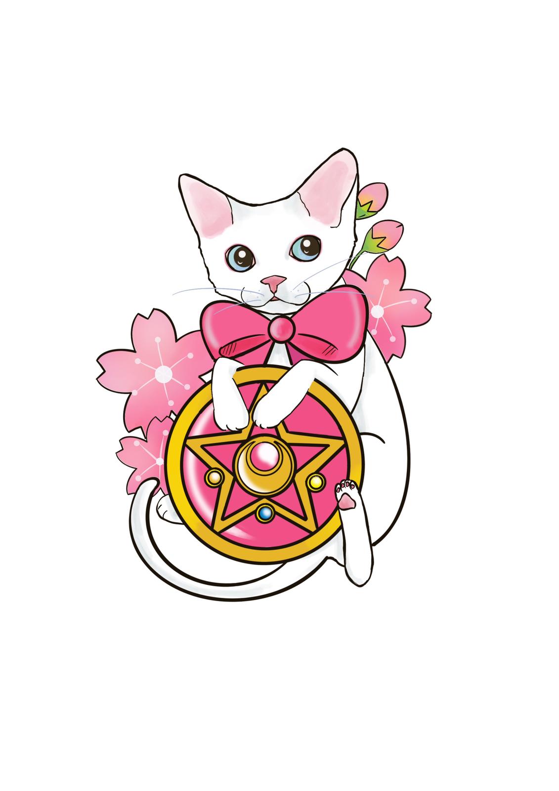 猫とセーラームーン トコウが投稿したフォトブック Sharee