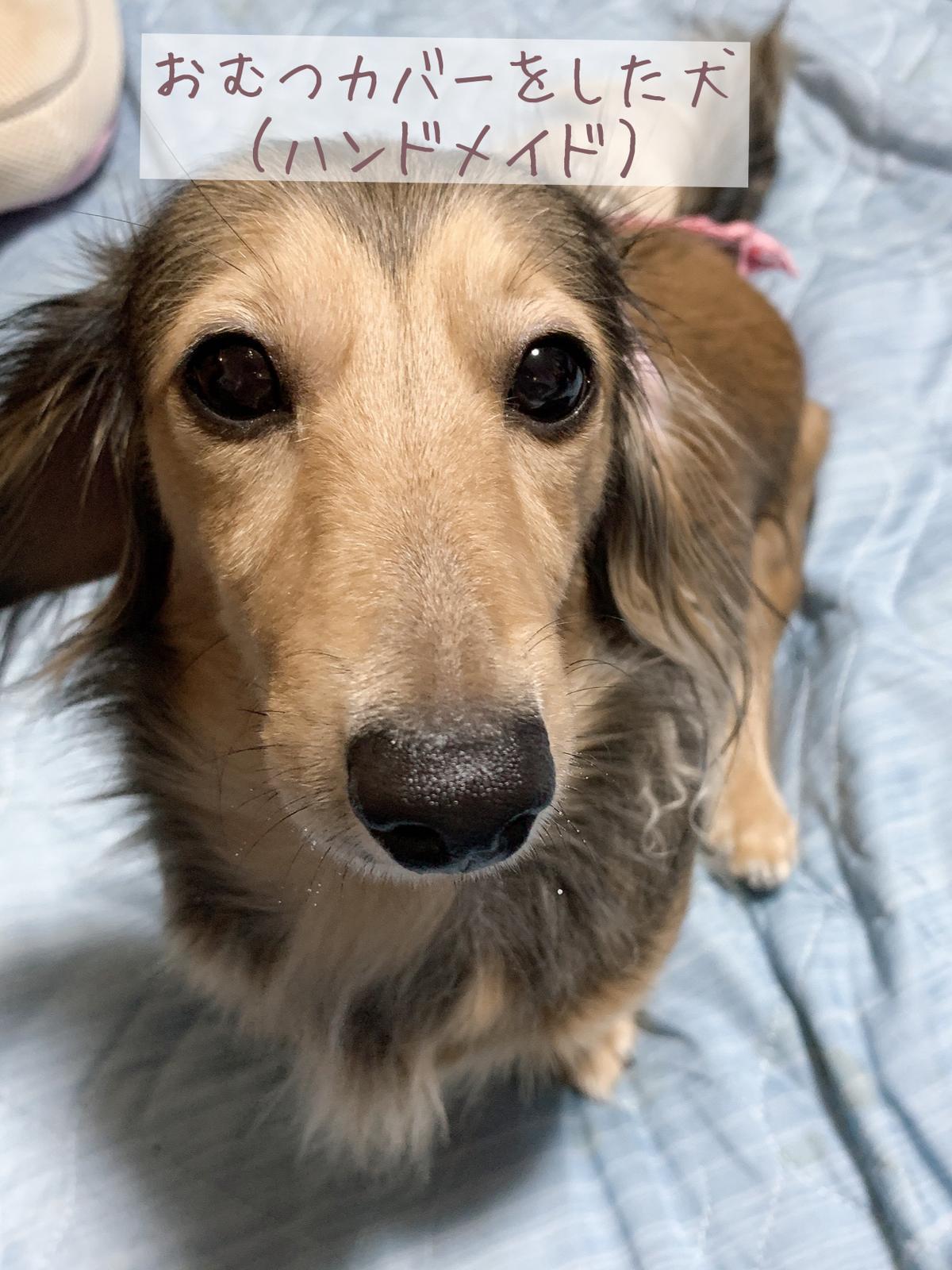 手作りオムツカバー アニメキャラ風 紬 Tsumugi が投稿したフォトブック Lemon8