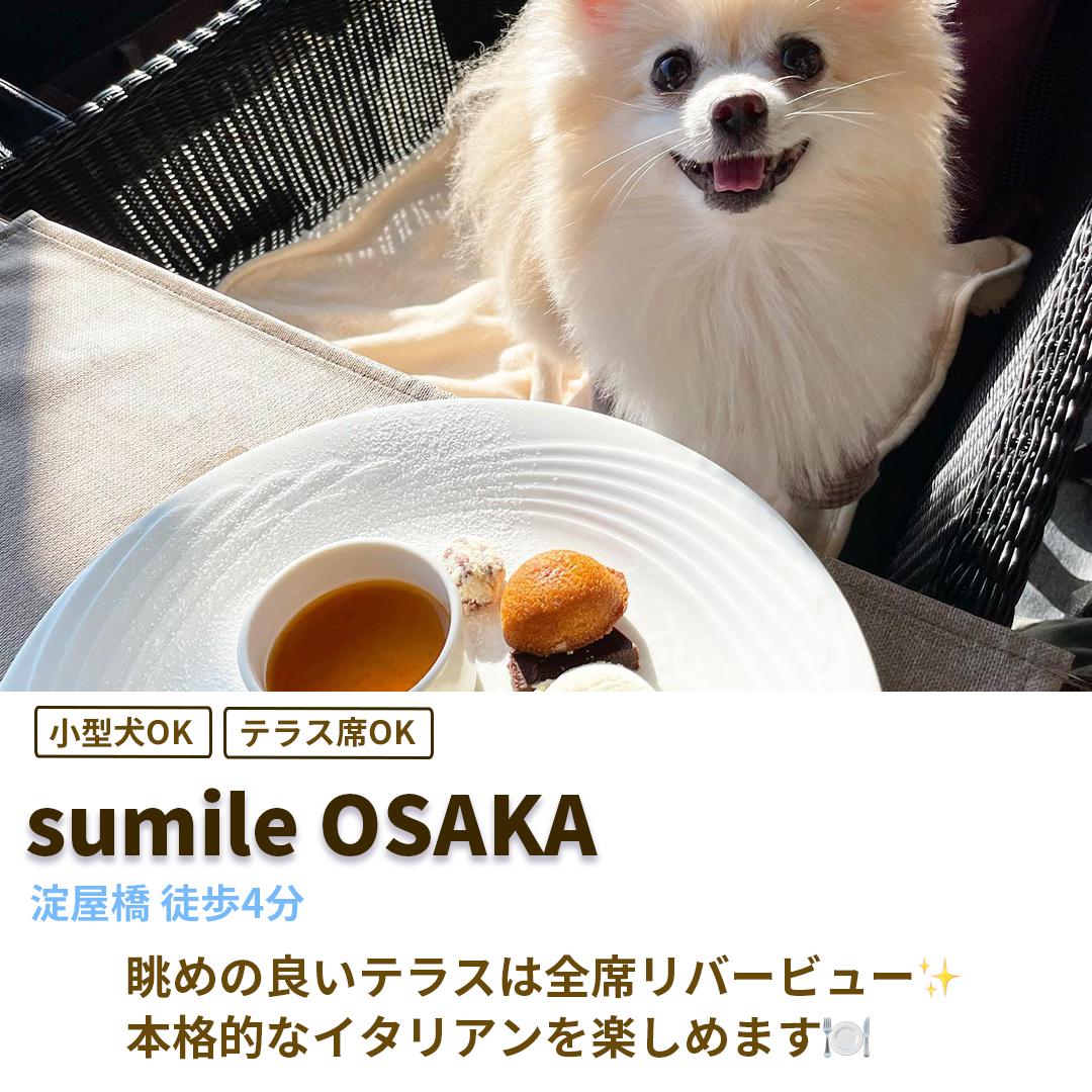 大阪のわんこokカフェまとめ Petcy Officialが投稿したフォトブック Lemon8