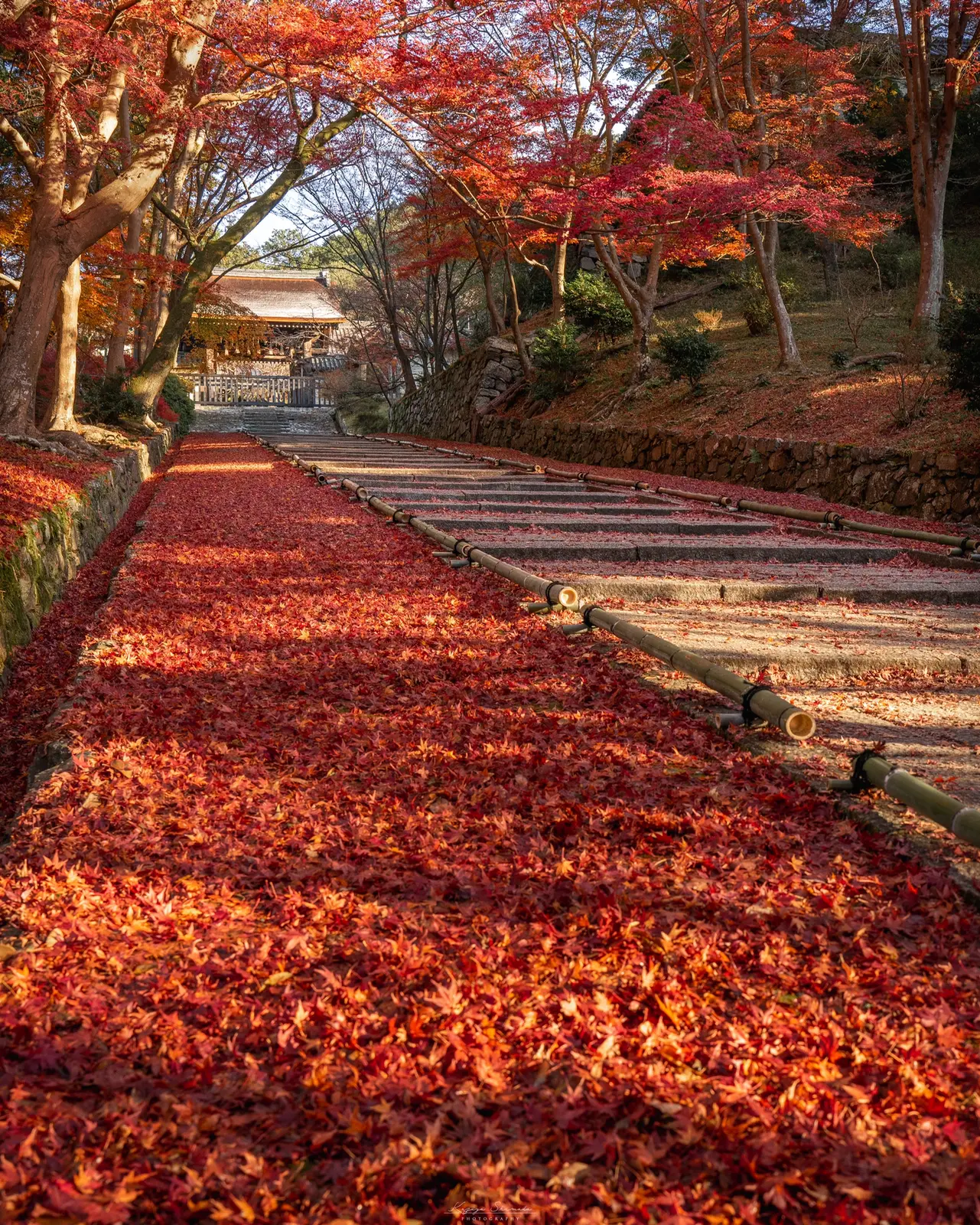 散り紅葉 赤色の絨毯 朝の京都 毘沙門堂が感動でした Kazu Photosが投稿したフォトブック Lemon8