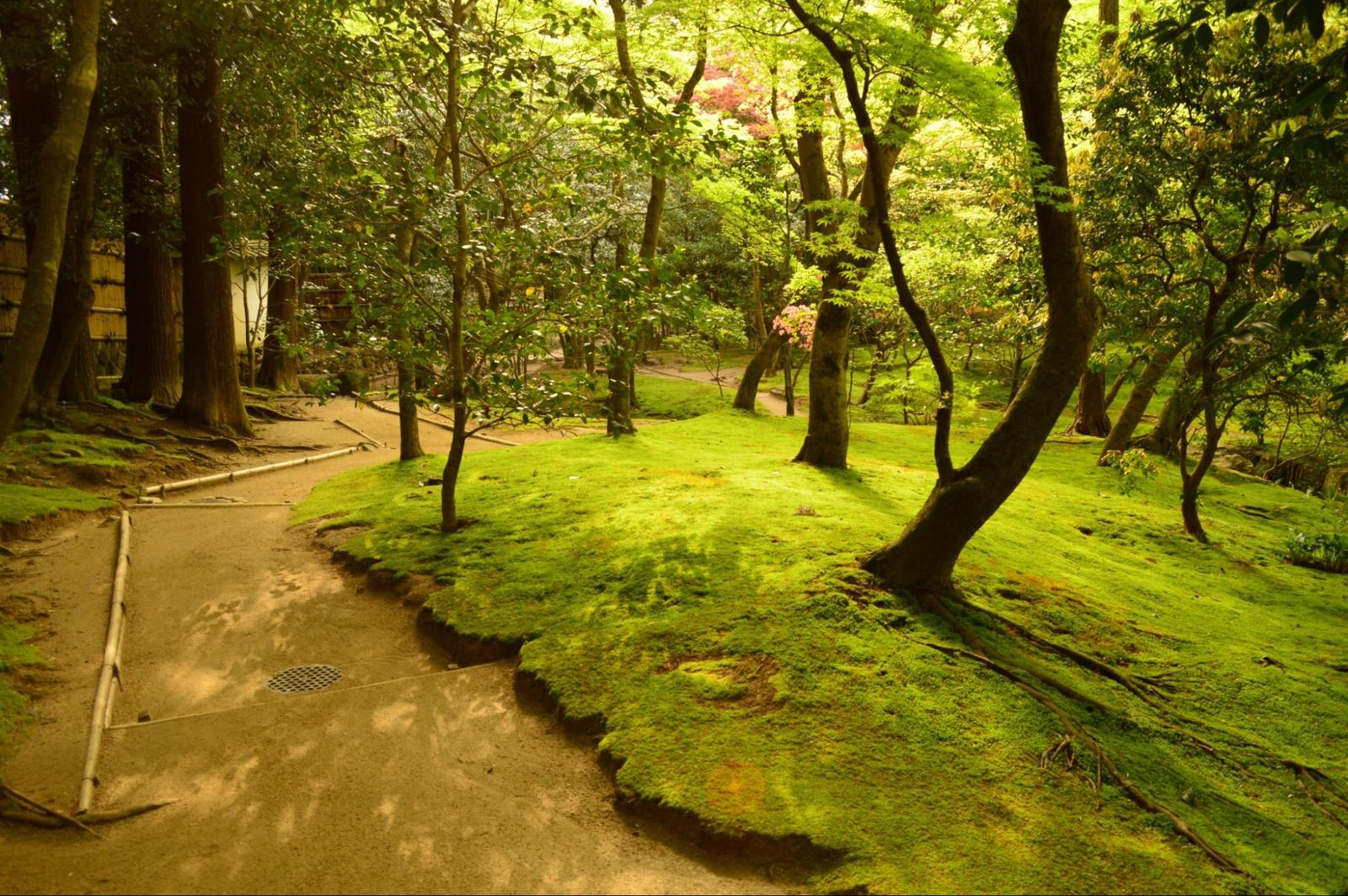 新緑の季節の京都旅行におすすめの 銀閣寺 Kihimotoが投稿したフォトブック Sharee