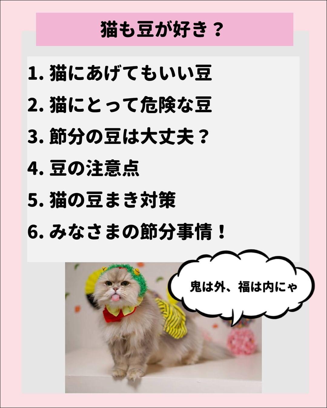 猫は豆を食べても大丈夫 ねこにも 愛猫情報発信中が投稿したフォトブック Lemon8