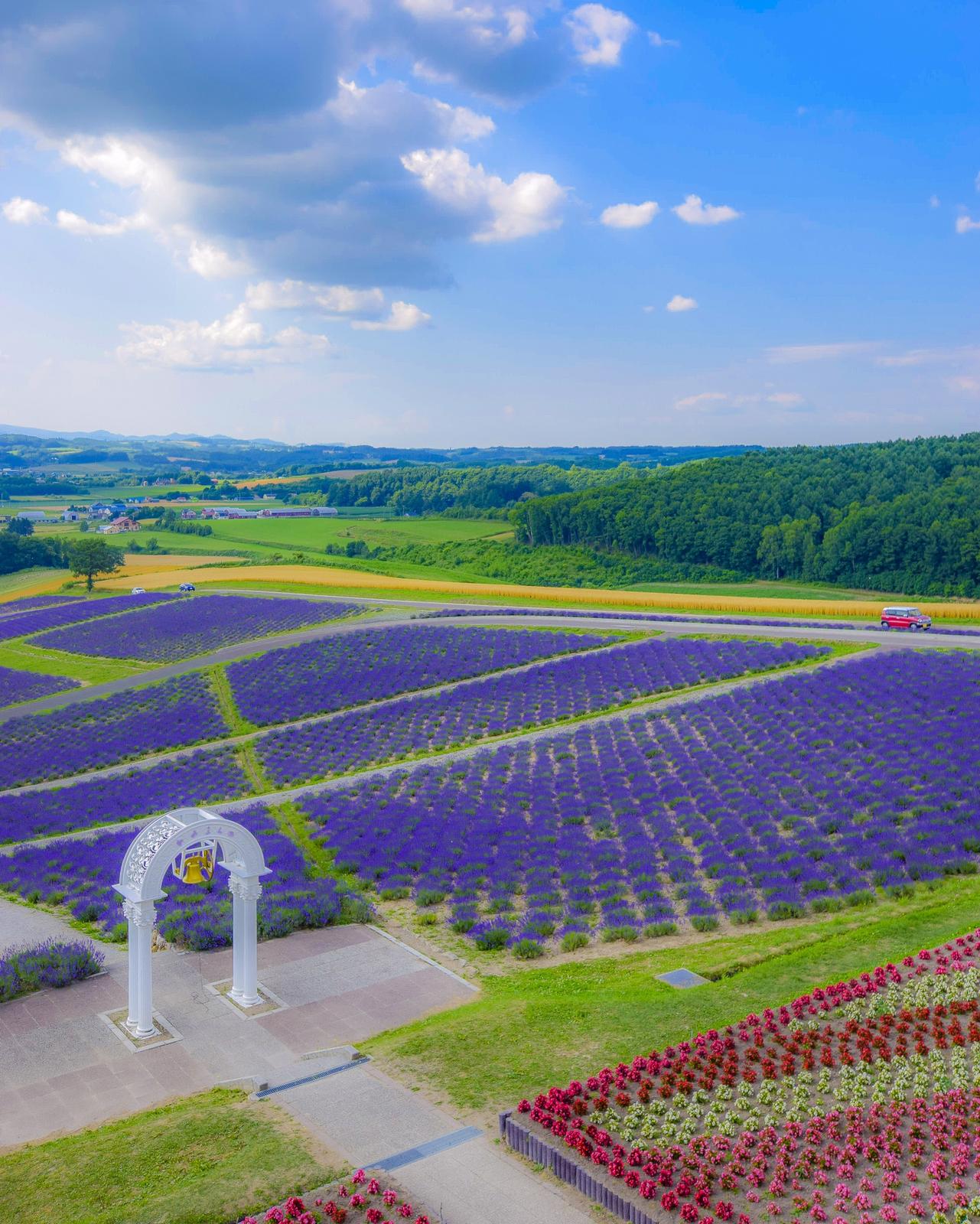 北海道上富良野町 日の出公園ラベンダー園 Jptravelerspicが投稿したフォトブック Lemon8