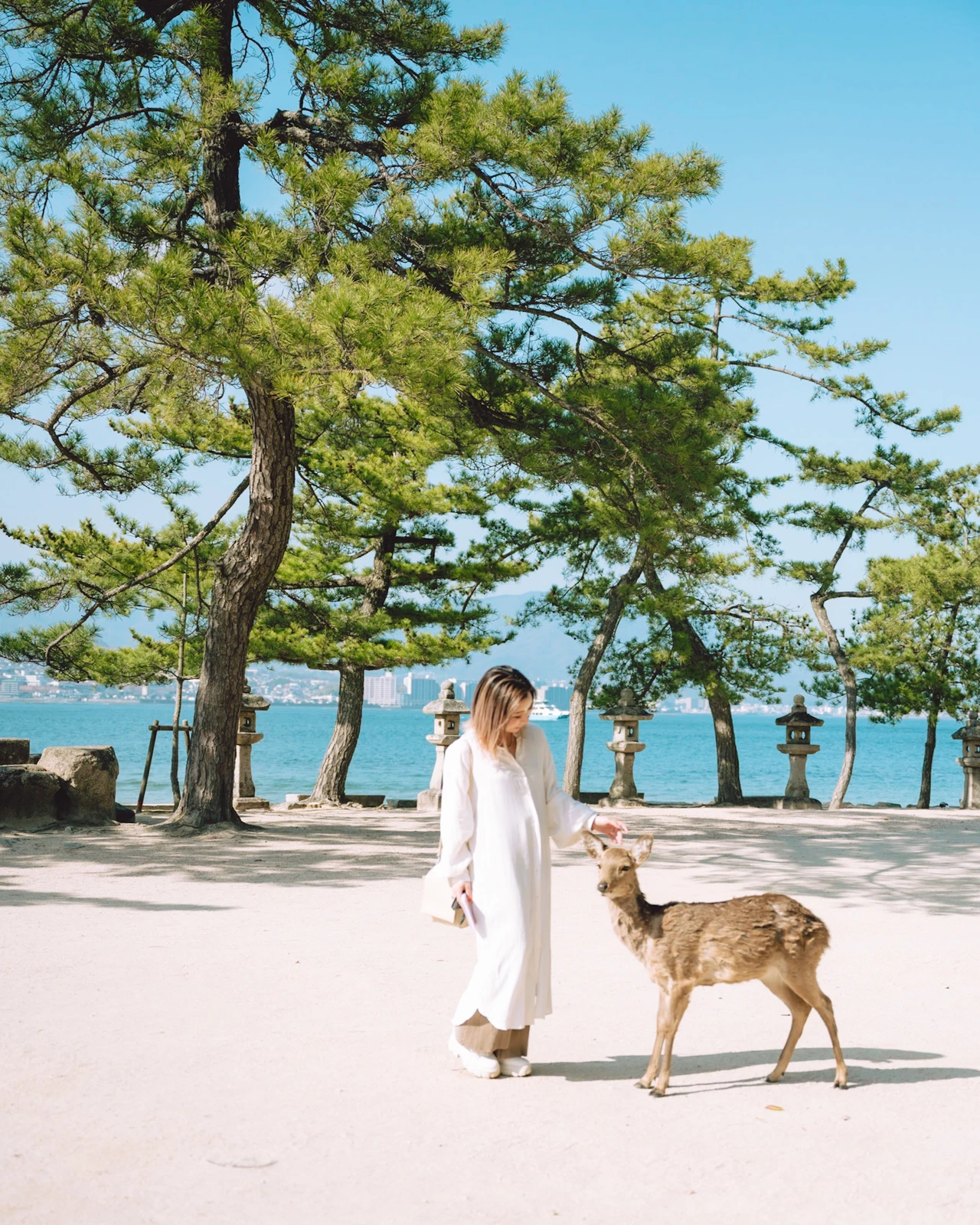 広島 神の島 宮島で鹿と出会う旅 Ayanceが投稿したフォトブック Lemon8
