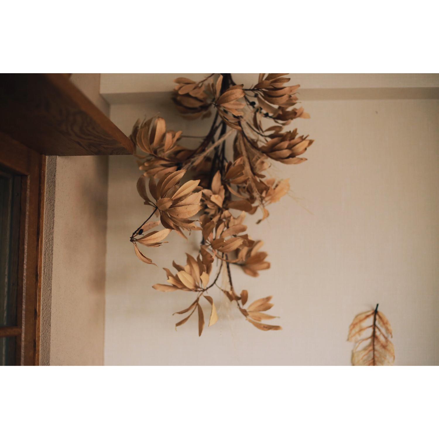 枯れ枝を 逆さに吊るしてみました Eight Field 8fが投稿したフォトブック Sharee