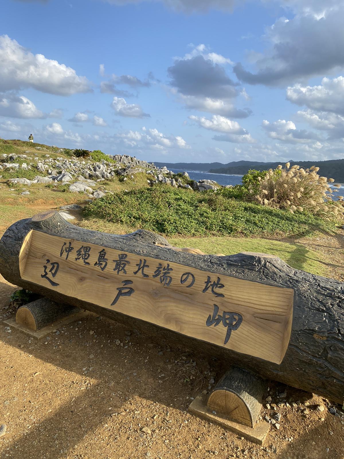 沖縄 国頭村 壮大なパワースポット 大石林山 に行ってきました Rei Hが投稿した記事 Lemon8