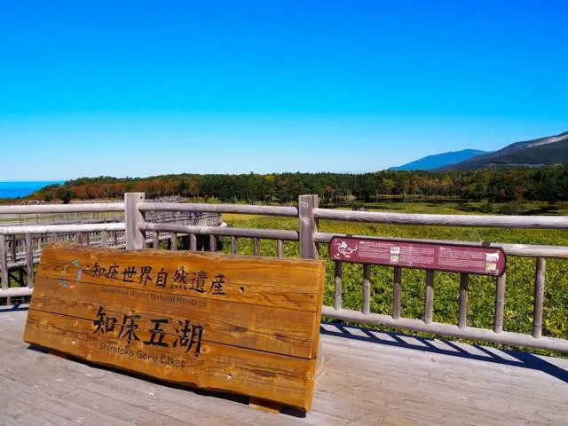 知床五湖散策で北海道の大自然と雄大な絶景を楽しむ！の画像 (1枚目)