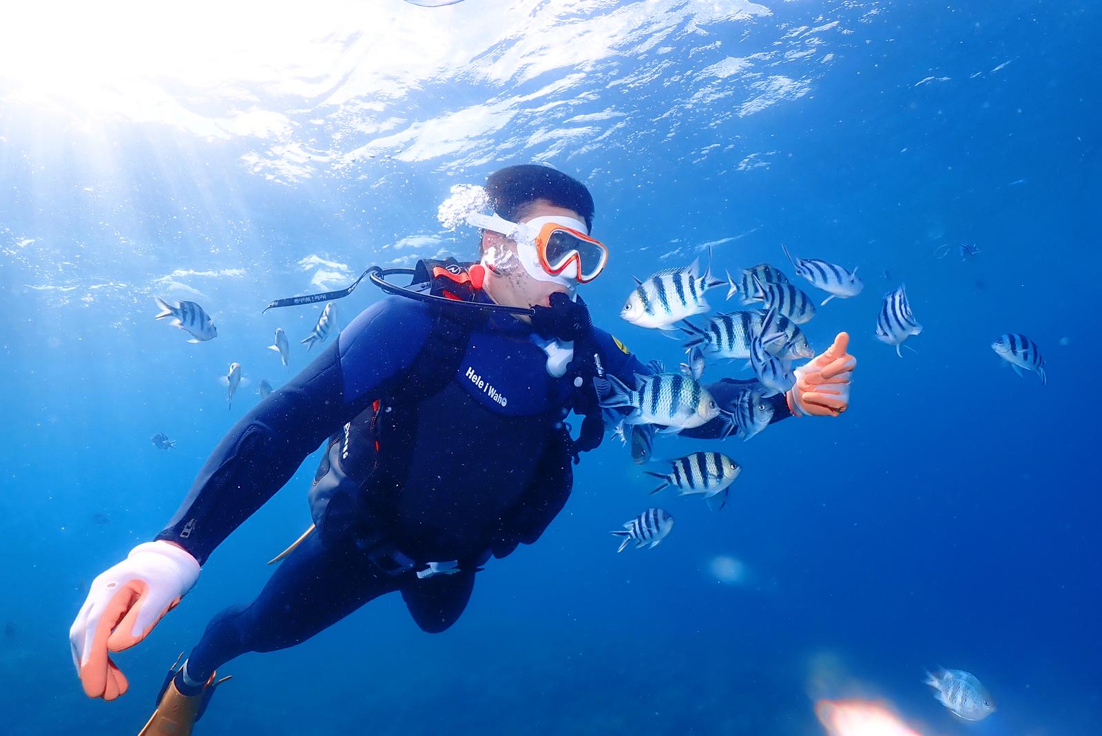 沖縄】お魚たちと泳いでみませんか🌈最高の綺麗な海で 