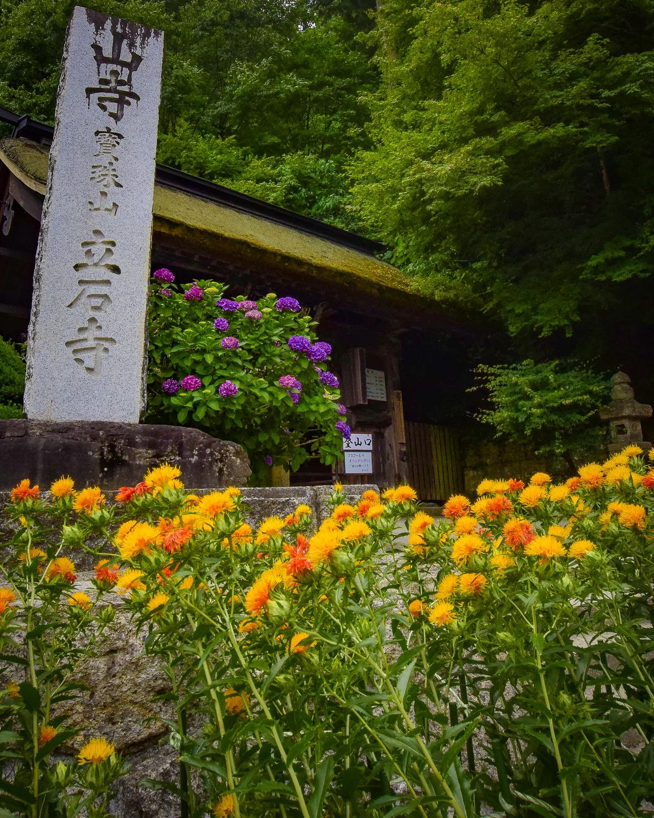 山形県 夏の山寺と紅花 Jptravelerspicが投稿したフォトブック Lemon8