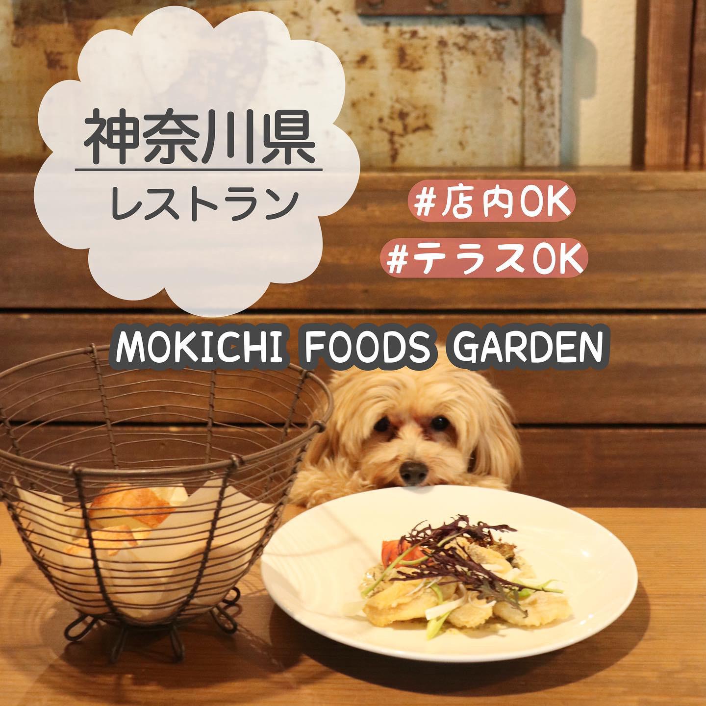 神奈川県 茅ヶ崎市 わんこと行きたい 茅ヶ崎のお洒落レストラン マルプーまっしゅが投稿したフォトブック Lemon8