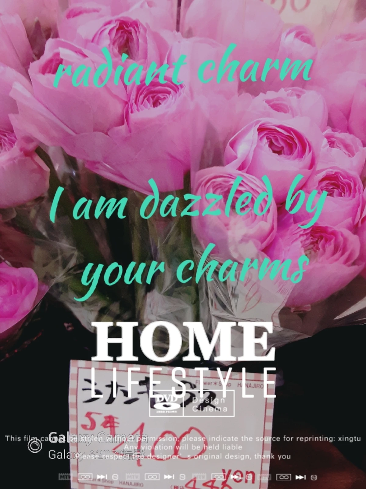 ラナンキュラス 花言葉 まさみ63が投稿したフォトブック Lemon8