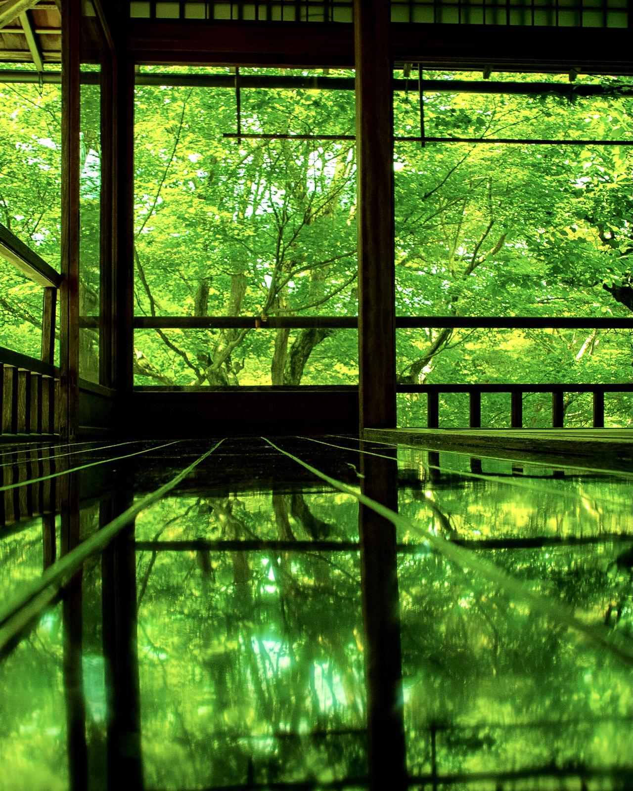 京都府 瑠璃光院 夏の特別拝観 新緑のリフレクション Jptravelerspicが投稿したフォトブック Lemon8