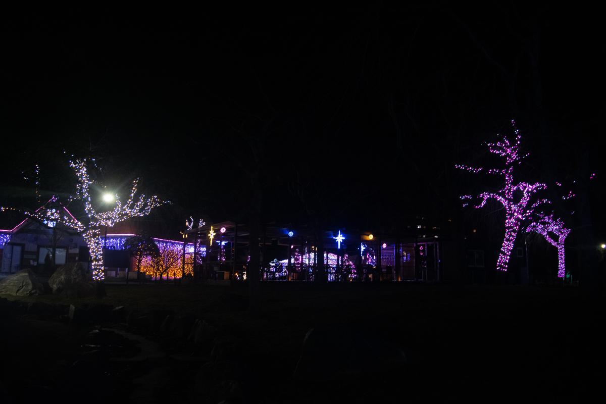 北柏ふるさと公園のイルミネーション Tatsuyatanno41が投稿した記事 Sharee