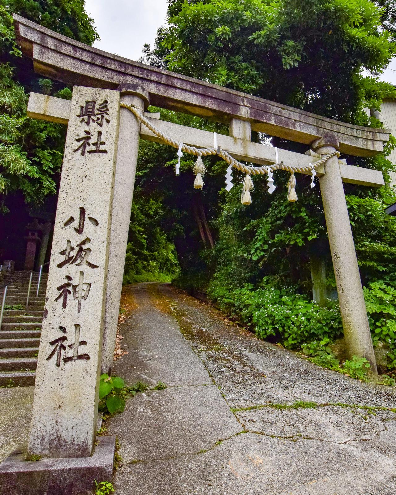 石川県金沢市 紫陽花の花手水 小坂神社 Jptravelerspicが投稿したフォトブック Sharee