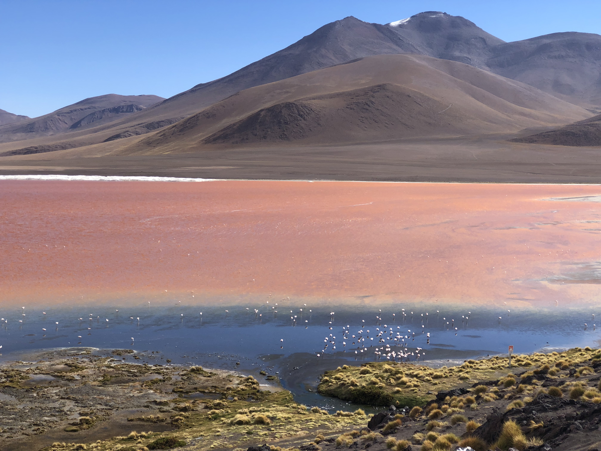 こんな景色見たことない ウユニ塩湖からチリに入国する アタカマツアー がすごかった Miwaaaが投稿した記事 Lemon8